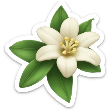 vanilla flower  sticker