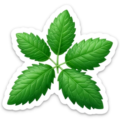 Peppermint (Mentha \(\times \) piperita)  sticker
