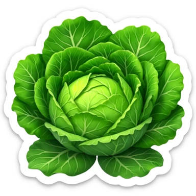 Cabbage sticker