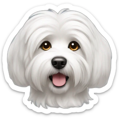 Coton de tulear sticker
