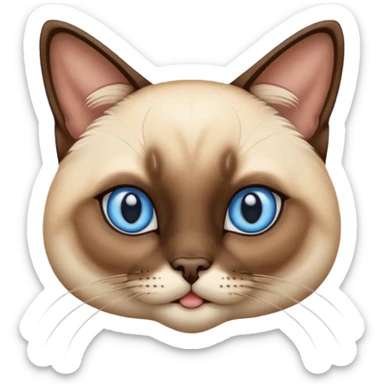 Siamese cat sticker