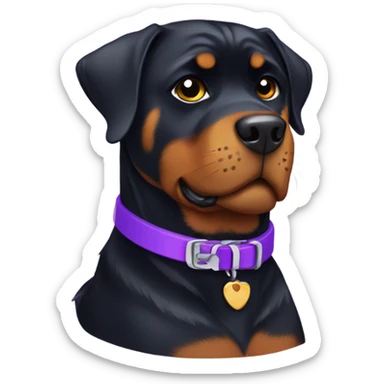 Rottweiler wearing purple collar sticker