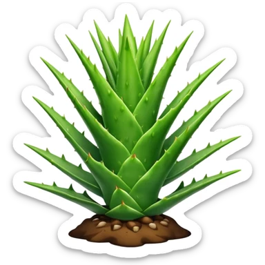 aloe vera sticker