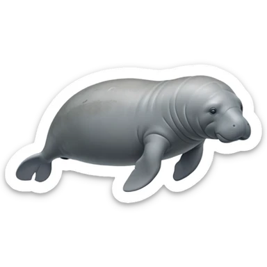 Cinematic realistic full body side view of a Florida manatee in water  sticker