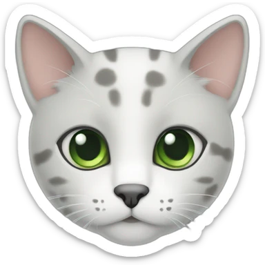 cat mainly grey with white spots fur and green eyes sticker