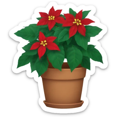 Pointsettias in pot sticker