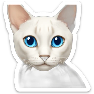 flamepoint siamese white cat with bright blue eyes sticker