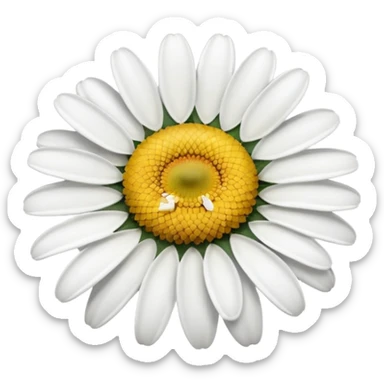 daisy flower sticker