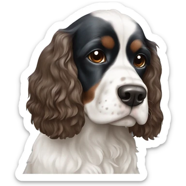 Black and white cocker spaniel blue and brown eyds sticker