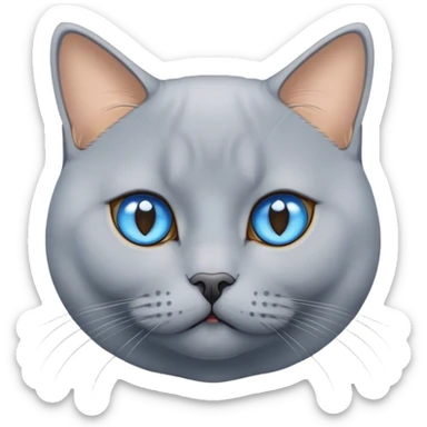 Blue golden british shorthair cat with blue eyes sticker