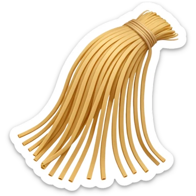 uncooked spaghetti sticker