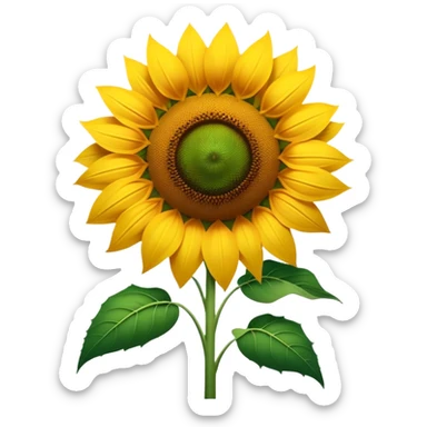 Cinematic Realistic Sunflower Emoji, Tall and bright, with a large, golden-yellow blossom facing the sun, its broad, textured petals surrounding a dark center. The sturdy green stalks and leaves frame the vibrant flower, while a gentle breeze causes the petals to sway. Soft glowing outline, capturing the essence of sunshine and warmth in a cheerful, towering sunflower! sticker