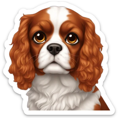 cavalier-ruby sticker