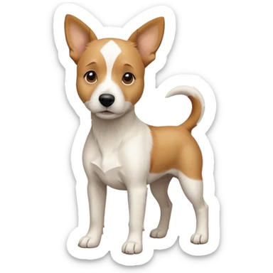 a full body facing front on of a buff white beagle cross jack russell terrier looking dog the size of a kelpie with light brown long ears resting on its face and a light brown patch above one eye and a large snout. the rest of the dog is completely white.  sticker