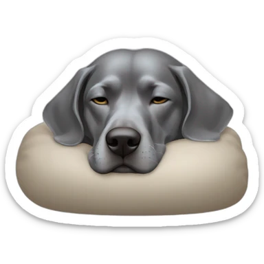 Braque de weimard qui dort en boule sticker