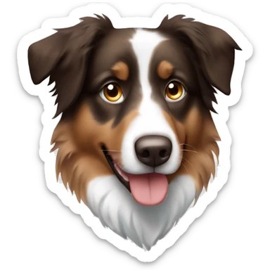 brown and white australian shepherd with blue eyes sticker