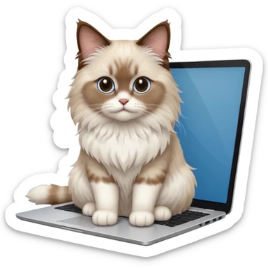 Cute ragdoll cat on a laptop. Should sit on top of the laptop, cat is way bigger than the laptop. Could walk on the laptop or sit. I liked the first one but remove the blue on the cat sticker