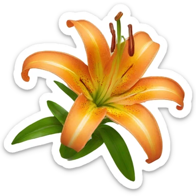 orange natal lily, twemoji sticker