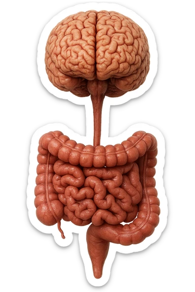 intestino e cervello sono collegati verticalmente, iperrealistico 4k sticker