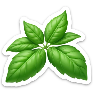 Fresh green basil herb leaf sticker