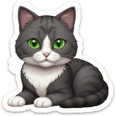beautiful female solid dark grey cat with green eyes, white toes/paws and white patch on her chest rolling over sticker
