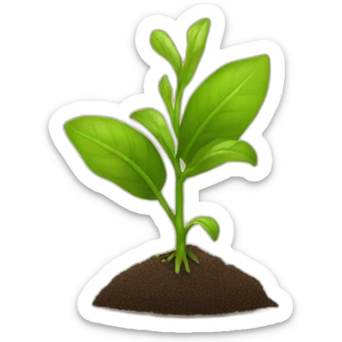 seedling sticker