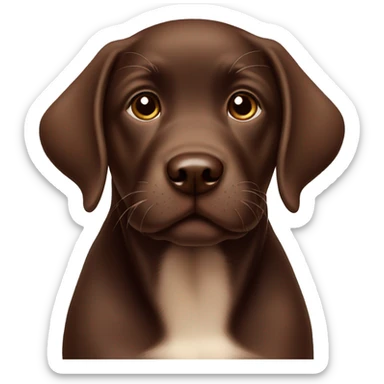 chocolate labrador puppy sticker