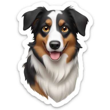 Australian Shepard and border collie mix sticker