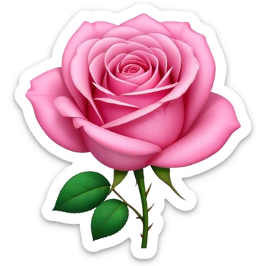 Rosa color rosa  sticker
