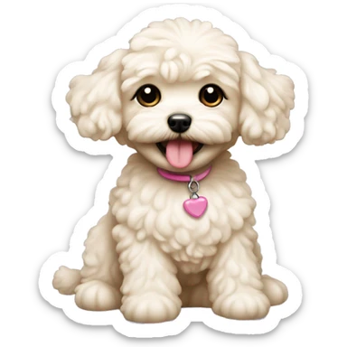 Maltipoo dog girl creamy colour with toy in her teeth sticker