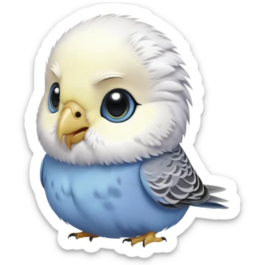 budgie, grey feathers, white head sticker