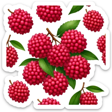 lychee cluster sticker