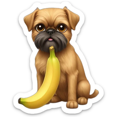 Brussels Griffon eating a banana sticker