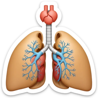 A 3D cartoon medical diagram showing lungs and airways inside a human silhouette, realistic Memoji-style. sticker
