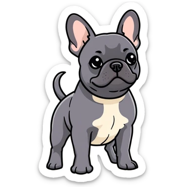 Schwarze französische Bulldogge mit Schlappohren geht am Strand spazieren sticker