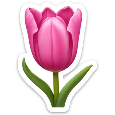 Pink tulips with a bow sticker