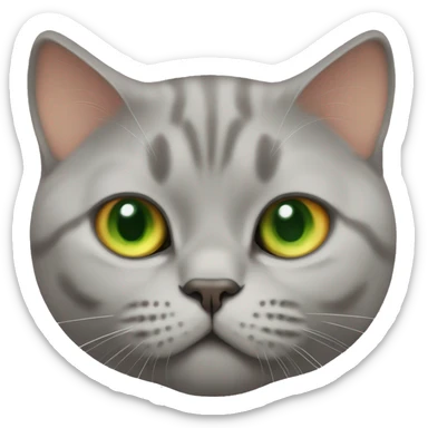 Full body orange British shorthair cat with green eyes sticker