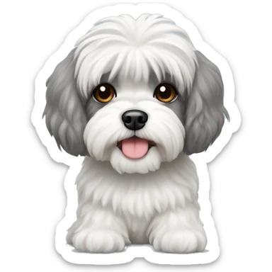 A grey and white shih tzu poodle mix  sticker