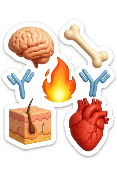 EMOJI STILE IPHONE 3D DI cervello, ossa, cuore, porzione di epidermide e cellule di anticorpi che girano in tondo, al centro di questi elementi c'è una fiamma 3d  FALLO MOLTO REALISTICO IN 3D sticker