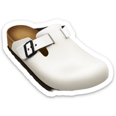 Birkenstock boston clog sticker