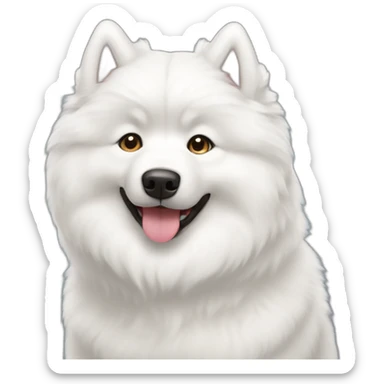 Cute little Samoyed  sticker