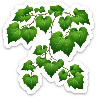 green ivy vine with leaves sticker