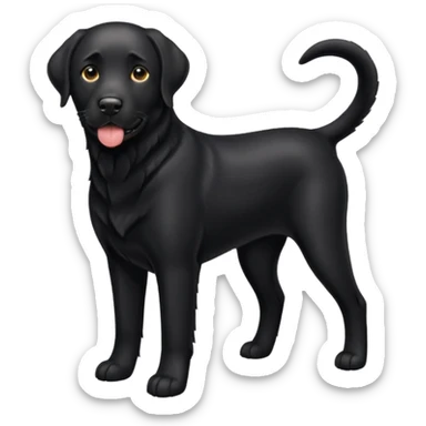 Black Labrador sticker