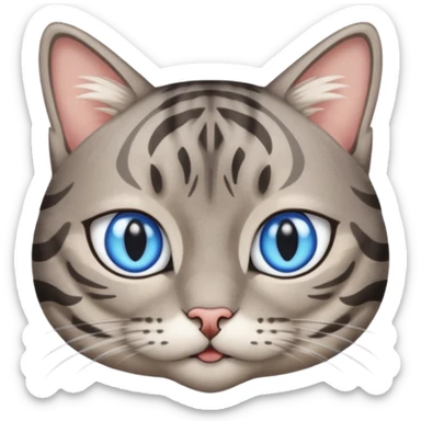 Un gato atigrado gris ojos azules ralla entre los ojos en forma de M y dos rallas en el exterior de los ojos sticker