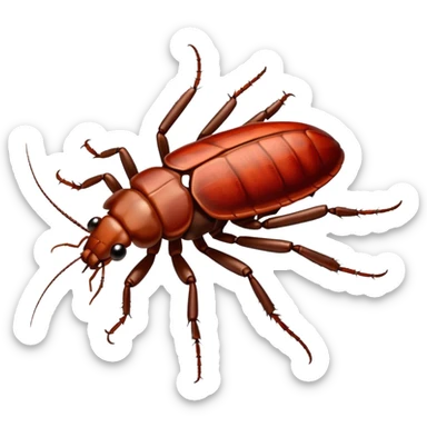 cockroach with "RED" written on its back sticker