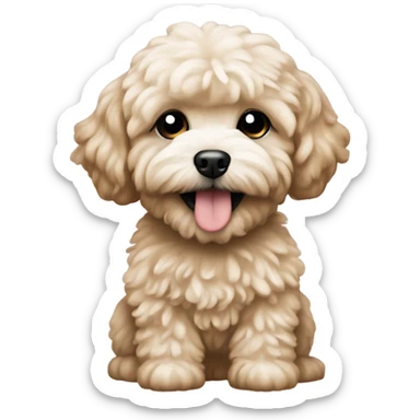 Create an emoji featuring a Maltipoo puppy. sticker