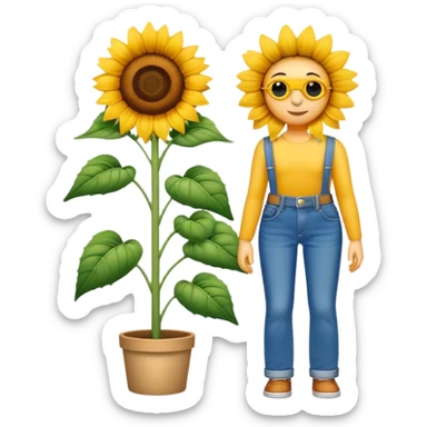 Sunflower wearing blue jeans sticker