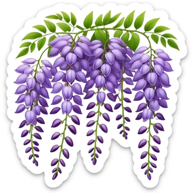 Elegant wisteria flower with cascading purple racemes hanging down and small green leaves sticker
