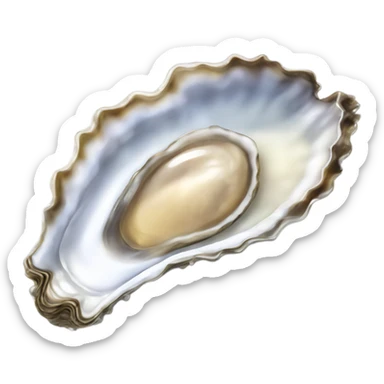Wet oyster with water dripping  sticker