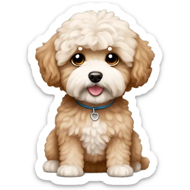 Maltipoo in brown color sticker